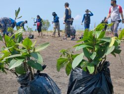 Penanaman Pohon Mangrove Peringati World Cleanup Day Di Muara Karangtirta Pangandaran