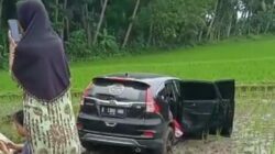 Viral Video Mobil Terjun Ke Sawah Di Pangandaran