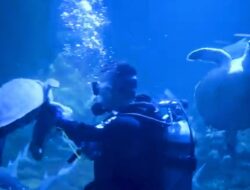 Aquarium Indonesia Besok Resmi Dibuka Untuk Umum
