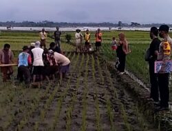 Warga Temukan Mayat dalam Posisi Tersungkur di Tengah Sawah