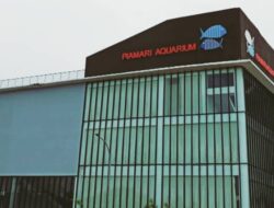 Terkendala Pandemi Pembukaan Akuarium Raksasa “Piamari” Ditunda