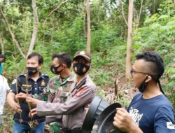 Selain Ditemukan di Kebun Ganja Ditanam Juga dalam Pot Dekat Villa di Batukaras