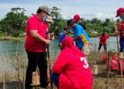 Menahan Abrasi Kawasan Pantai Ditanami Bibit Mangrove