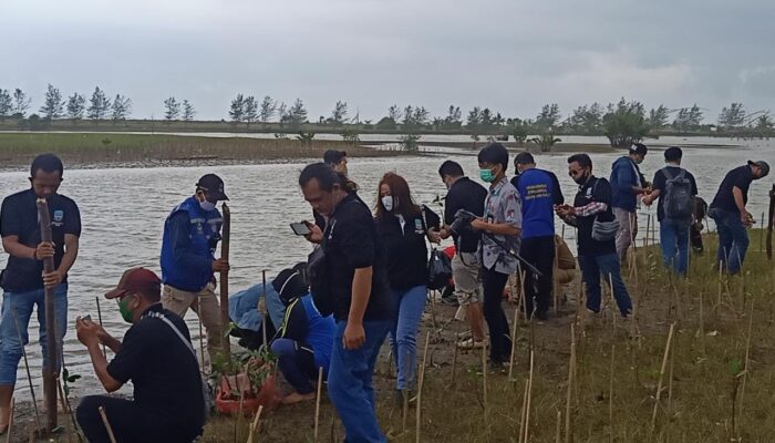 Peringati HPN 2021, Wartawan Pangandaran Tanam Ratusan Pohon Mangrove