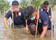 Maknai Hari Jadi ke-22, KPU Pangandaran Tanam Pohon Mangrove 