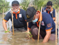 Maknai Hari Jadi ke-22, KPU Pangandaran Tanam Pohon Mangrove 