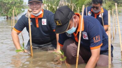 Maknai Hari Jadi ke-22, KPU Pangandaran Tanam Pohon Mangrove 