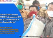 Selama PPKM Pemerintah Salurkan Bantuan Beras 10 Kilogram, Ini Kategorinya