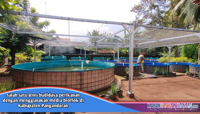 Budidaya Perikanan di Pangandaran Belum Bisa Menutupi Kebutuhan Bisnis Pasaran