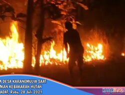 Kebakaran Hutan Milik Adat, Warga Desa Karangmulya Sigap Padamkan Api