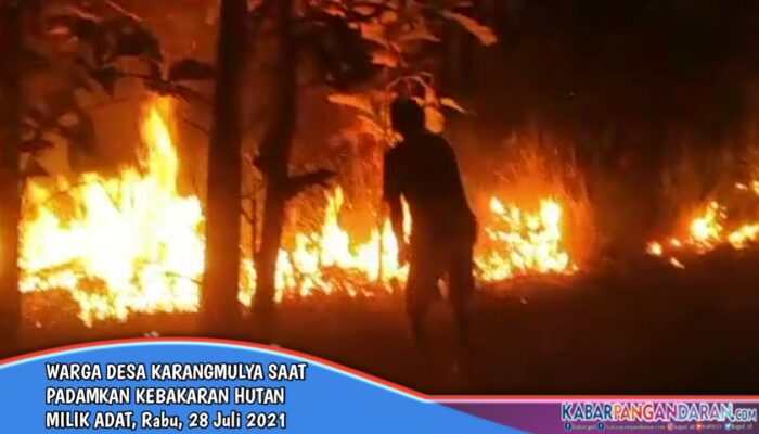 Kebakaran Hutan Milik Adat, Warga Desa Karangmulya Sigap Padamkan Api