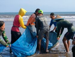 Hasil Tangkapan Ikan Nelayan Pantai Barat Pangandaran
