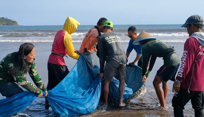 Hasil Tangkapan Ikan Nelayan Pantai Barat Pangandaran