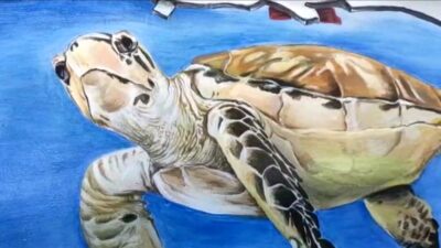 Pelukis Pangandaran Ajak Masyarakat Lindungi Habitat Laut Dalam Bentuk Karya