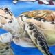 Lukisan Habitat Laut Di Pagar Kantor Dinas Pariwisata dan Kebudayaan Pangandaran