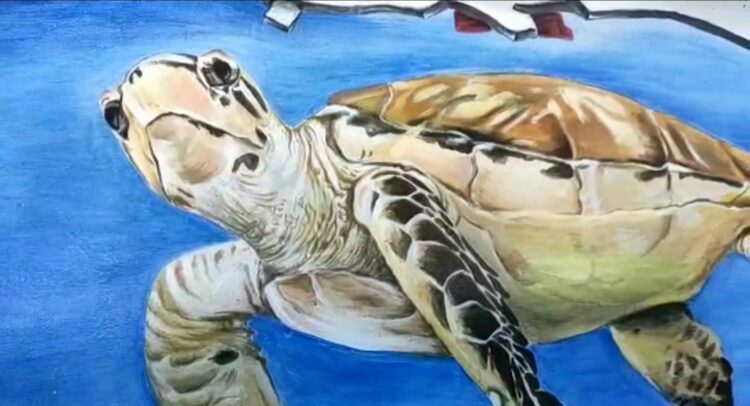 Lukisan Habitat Laut Di Pagar Kantor Dinas Pariwisata dan Kebudayaan Pangandaran