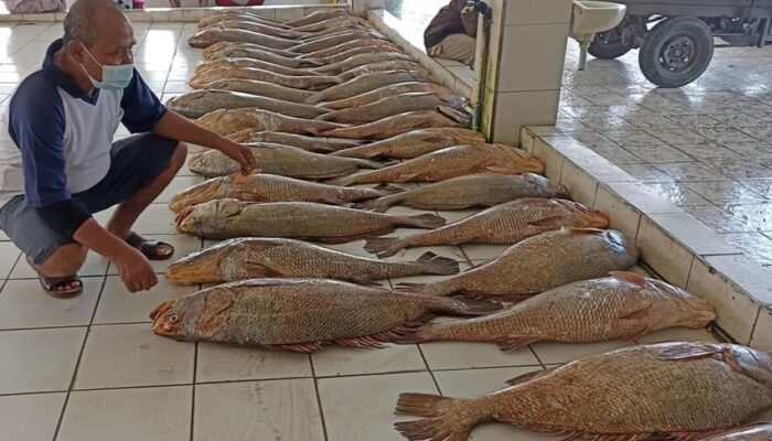 Sekali Melaut, Nelayan Pangandaran Bisa Raup Hampir Rp250 Juta