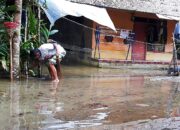 Hujan Deras Banjir Cileuncang Rendam Puluhan Rumah Warga Desa Bunisari Pangandaran