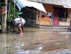 Hujan Deras Banjir Cileuncang Rendam Puluhan Rumah Warga Desa Bunisari Pangandaran