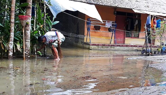 Hujan Deras Banjir Cileuncang Rendam Puluhan Rumah Warga Desa Bunisari Pangandaran