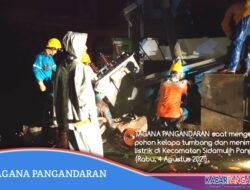 Pohon Tumbang Menimpa Rumah Warga Dan Gardu Listrik Di Pangandaran