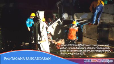 Pohon Tumbang Menimpa Rumah Warga Dan Gardu Listrik Di Pangandaran