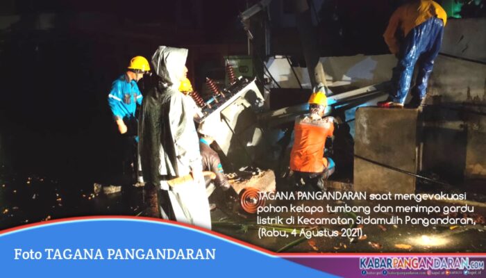 Pohon Tumbang Menimpa Rumah Warga Dan Gardu Listrik Di Pangandaran