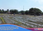 Pemkab Pangandaran Merencanakan Terminal Dan Parkiran Wisata Di Area Lapang Katapang Doyong