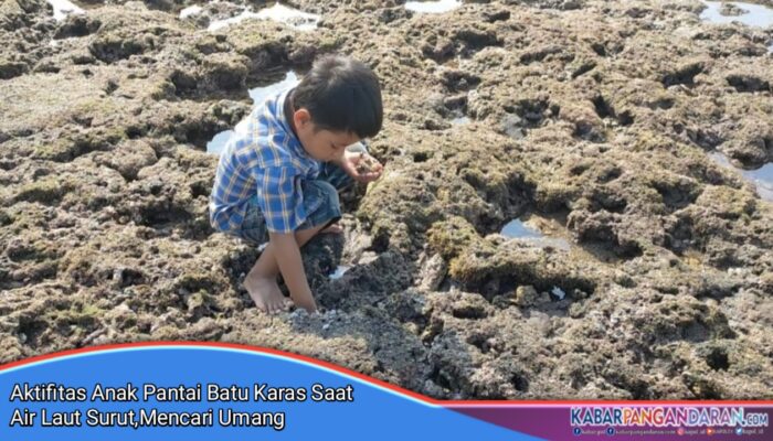 Anak Pantai Batu Karas Berburu Umang di Atas Karang Saat Air Laut Surut