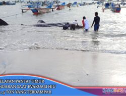 Nelayan Pantai Timur Pangandaran Berhasil Evakuasi Hiu Paus 1,5 Ton Ke Tengah Laut