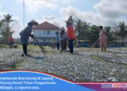 Lapang Katapang Doyong Jadi Tempat Penjemuran Ikan Layang Saat Sedang Musim