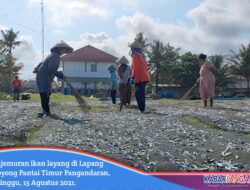 Lapang Katapang Doyong Jadi Tempat Penjemuran Ikan Layang Saat Sedang Musim