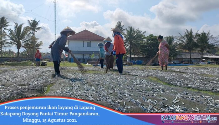 Lapang Katapang Doyong Jadi Tempat Penjemuran Ikan Layang Saat Sedang Musim