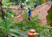 Hujan Deras Disertai Angin Kencang Rumah Warga Tertimpa Pohon Di Pangandaran