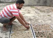 Cak Epul Ciptakan Kuliner Kerupuk Keong Susuh Pertama Di Pangandaran