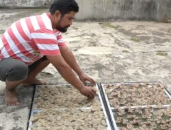 Cak Epul Ciptakan Kuliner Kerupuk Keong Susuh Pertama Di Pangandaran