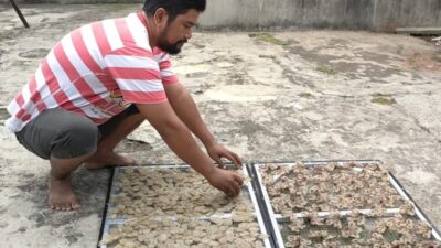 Cak Epul Ciptakan Kuliner Kerupuk Keong Susuh Pertama Di Pangandaran