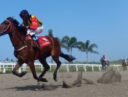 Kejurnas Pacuan Kuda 2021 Seri 2 Di Pangandaran, Berhadiah Total Ratusan Juta Rupiah