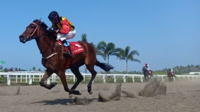 Kejurnas Pacuan Kuda 2021 Seri 2 Di Pangandaran, Berhadiah Total Ratusan Juta Rupiah