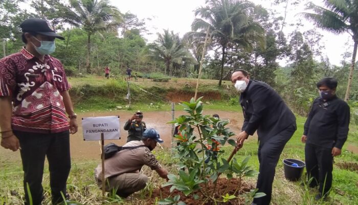 Bupati Pangandaran Ajak Warga Masyarakat Menjaga Merawat Hutan