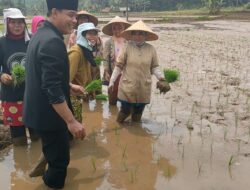 Raperda Ketahanan Pangan Daerah Kini Sudah Ditetapkan Menjadi Perda