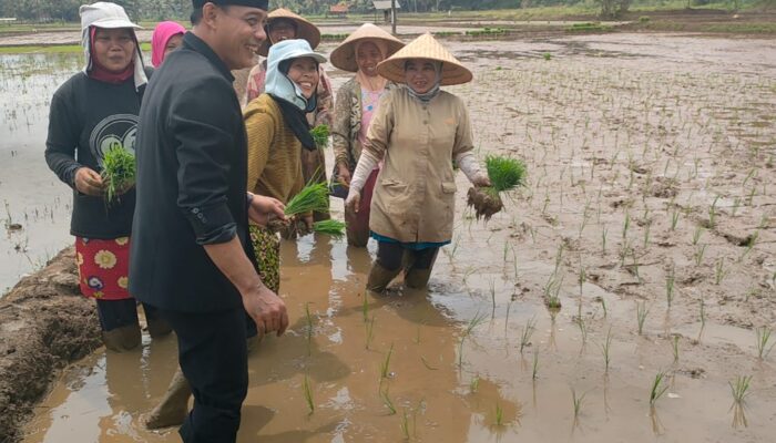 Raperda Ketahanan Pangan Daerah Kini Sudah Ditetapkan Menjadi Perda