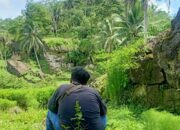 Wisatawan Terpesona Suara Kicau Burung Alam Liar Di Batu Lumpang Garden