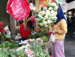Minyak Goreng Kemasan Harga Turun Di Pasar Kalipucang