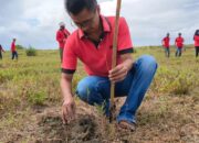 Peringati HUT Ke 49, DPC PDI Perjuangan Pangandaran Tanam Ribuan Pohon Di Pantai Cemara Karangtirta