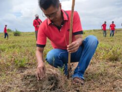 Peringati HUT Ke 49, DPC PDI Perjuangan Pangandaran Tanam Ribuan Pohon Di Pantai Cemara Karangtirta