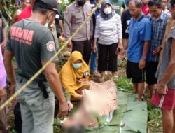 Penyadap Meninggal Dunia di Atas Pohon Kelapa