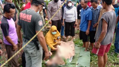 Penyadap Meninggal Dunia di Atas Pohon Kelapa