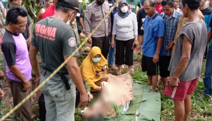 Penyadap Meninggal Dunia di Atas Pohon Kelapa