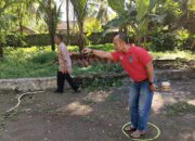 Cara Bermain Olahraga Petanque Yang Berasal Dari Perancis